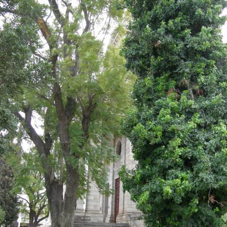 EC.OK-CRADOCK-Ned.Geref.Kerk-2008_42