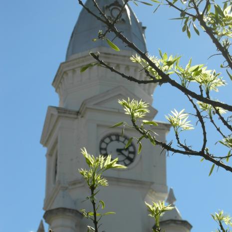 EC.OK-PEARSTON-Ned.Geref.Kerk-2008_52