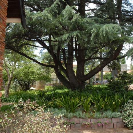 GAU-Johannesburg-BRYANSTON-St-Michaels-Anglican-Church_19