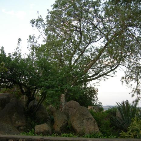 KZN-LUNEBURG-DiePeterPaulsGemeinde-2003 (28)