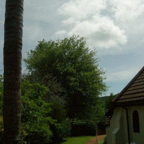 LIM-HAENERTSBURG-StPaulsUnitedChurch-Methodist-Anglican-Presbyterian-2009 (20)