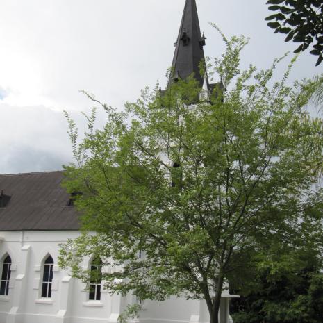 LIM-NYLSTROOM.MODIMOLLE-Ned.Geref.Kerk-Waterberg-2006 (76)
