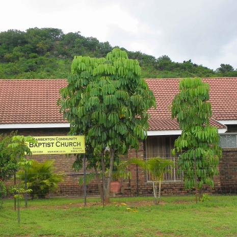 Community-Baptist-Church