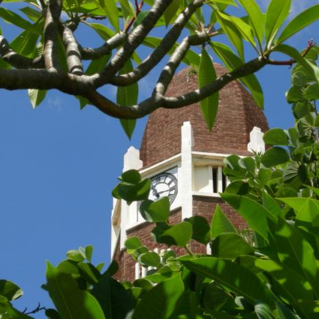 NW-BRITS-Ned.Geref.Kerk-GemeenteKrokodilrivier-2006 (8)