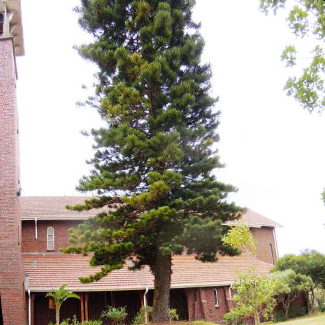 WK-BELLVILLE-Anglican-Church_06