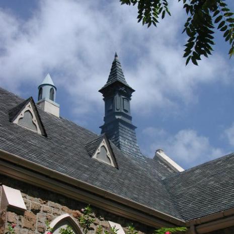 EPSON DSC picture