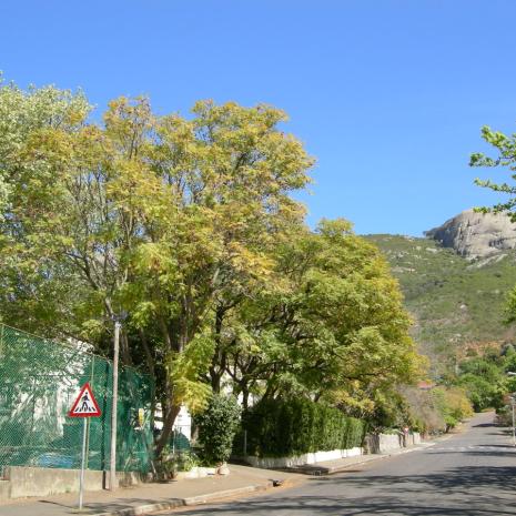 WC.WK-PAARL-CongregationalChurch-2006 (48)