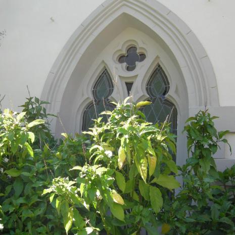 WC.WK-PAARL-CongregationalChurch-2006 (57)