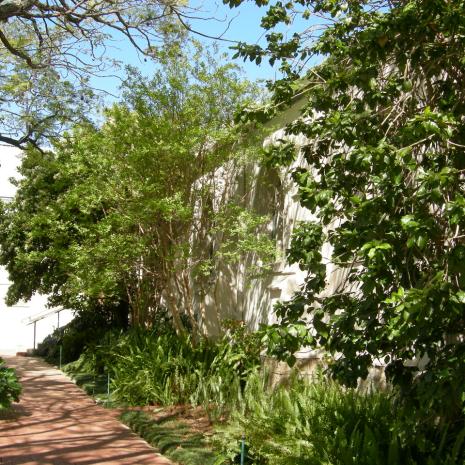 WC.WK-PAARL-CongregationalChurch-2006 (47)