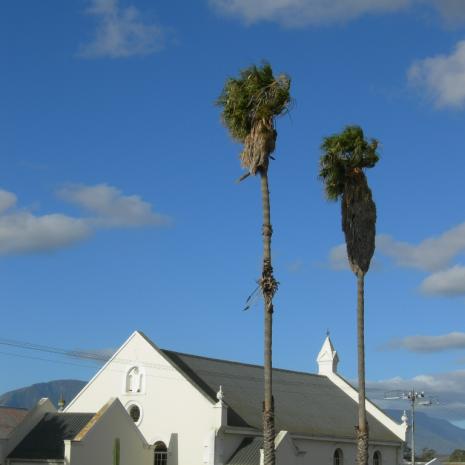 WC.WK-RIVERSDAL.RIVERSDALE-NuweApostolieseKerk-SentraalGemeente-2009 (4)