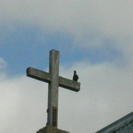 WC.WK-RIVERSDAL.RIVERSDALE-StMatthews-AnglicanChurch-2009 (51)