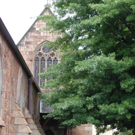 EPSON DSC picture